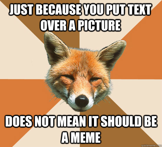Just because you put text over a picture does not mean it should be a meme  Condescending Fox