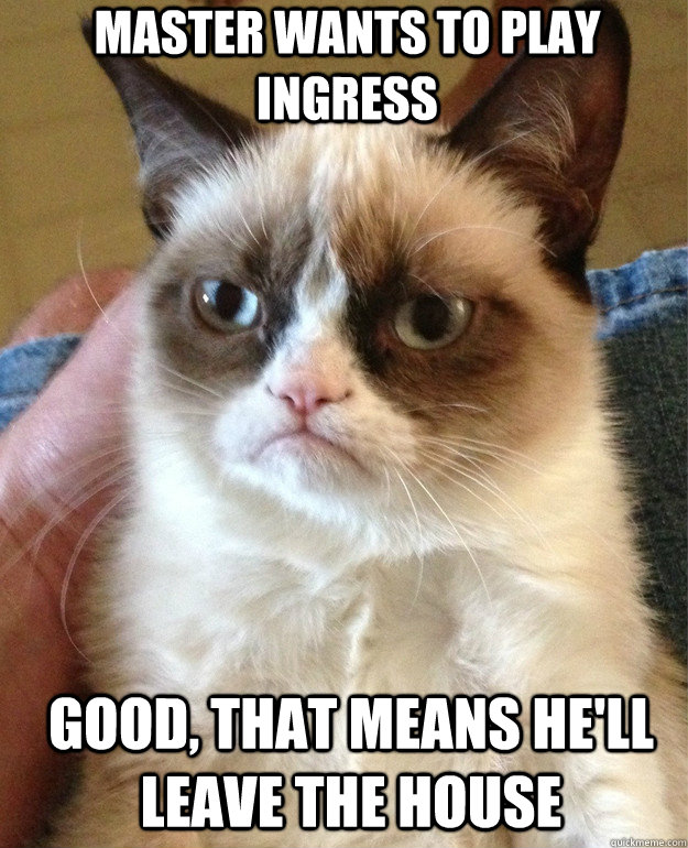 Master wants to play Ingress Good, that means he'll leave the house  Grumpy Cat