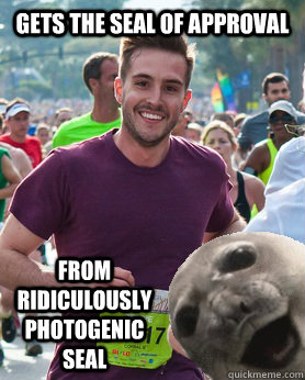 gets the seal of approval from Ridiculously photogenic seal  Ridiculously photogenic guy