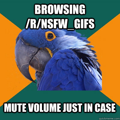 Browsing /r/NSFW_Gifs Mute volume just in case  Paranoid Parrot