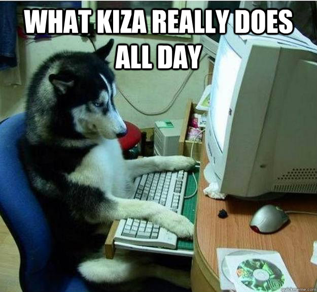 What Kiza really does all day   Disapproving Dog