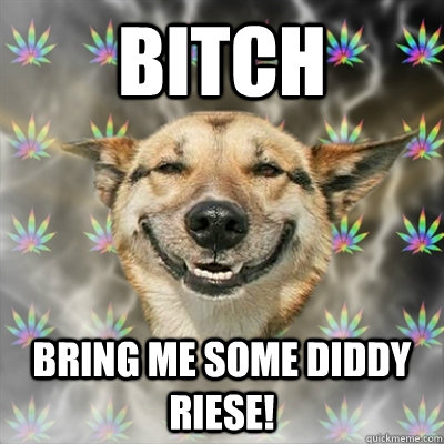 Bitch Bring me some Diddy Riese!  Stoner Dog