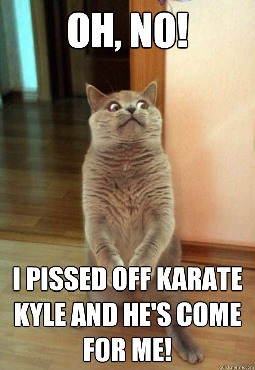 Oh, no! I pissed off Karate Kyle and he's come for me!  Horrorcat