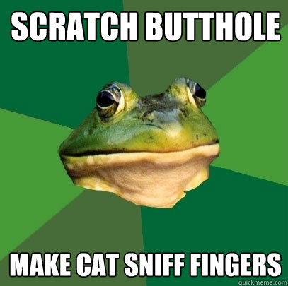 scratch butthole  make cat sniff fingers  Foul Bachelor Frog