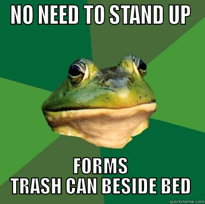 NO NEED TO STAND UP FORMS TRASH CAN BESIDE BED Foul Bachelor Frog