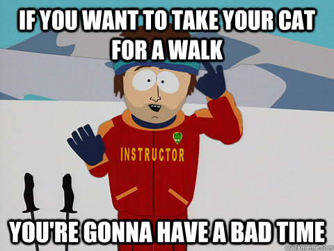 If you want to take your cat for a walk you're gonna have a bad time  Youre gonna have a bad time