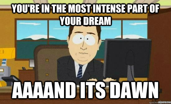 you're in the most intense part of your dream AAAAND its dawn  aaaand its gone