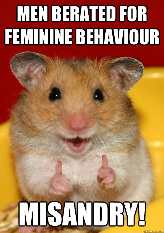 Men berated for feminine behaviour Misandry!   Rationalization Hamster