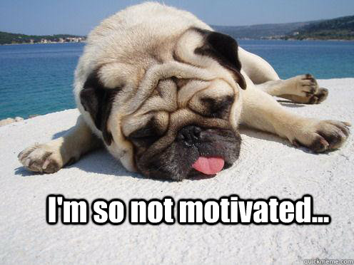 I'm so not motivated... - I'm so not motivated...  The Effects of Homework