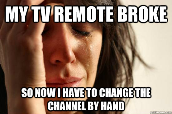 My TV remote broke so now I have to change the channel by hand  First World Problems