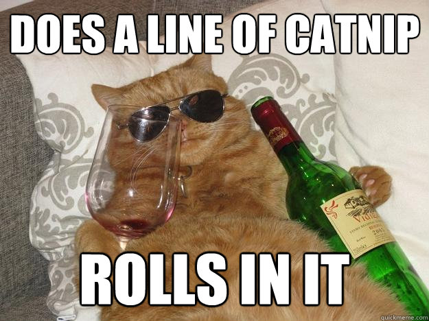 Does a line of catnip rolls in it - Does a line of catnip rolls in it  Party Cat