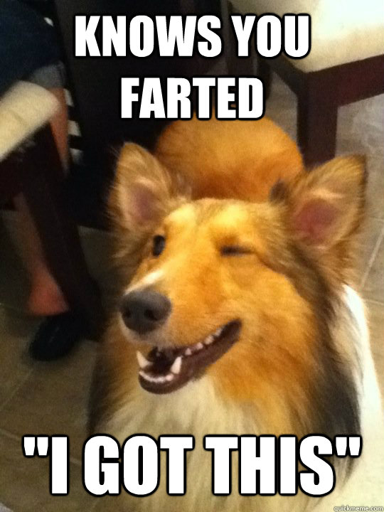 Knows you farted 