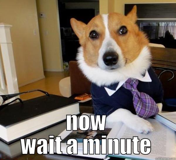  NOW WAIT A MINUTE Lawyer Dog