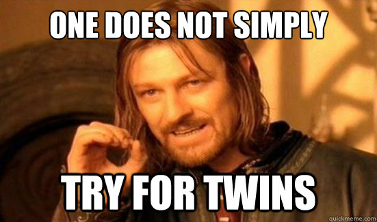 One Does Not Simply try for twins - One Does Not Simply try for twins  Boromir