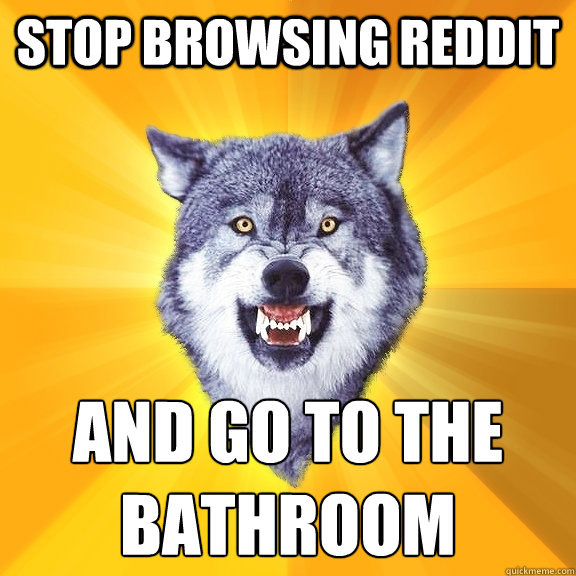 stop browsing reddit and go to the bathroom  Courage Wolf