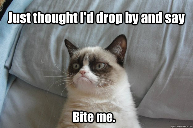 Just thought I'd drop by and say Bite me.  tard grumpy cat