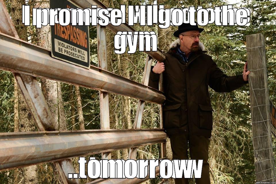 I promise I'll go to the gym ... tomorrow - I PROMISE I'LL GO TO THE GYM TOMORROW Misc