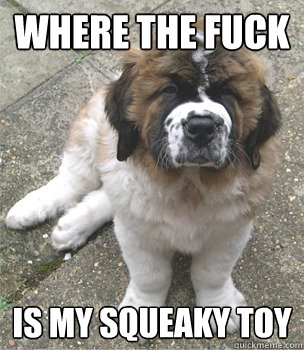 Where the fuck is my squeaky toy - Where the fuck is my squeaky toy  The Angry puppy