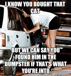 I know you bought that cat But we can say you found him in the dumpster if that's what you're into  Karma Whore