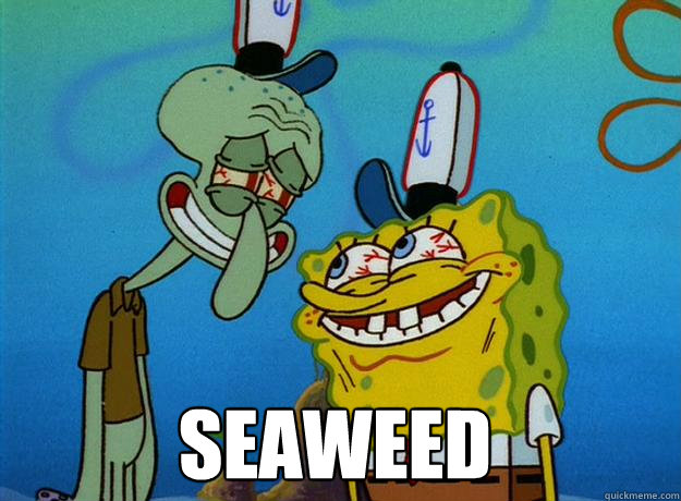  seaweed  