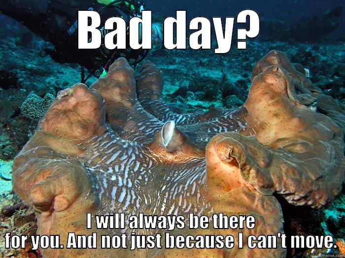 BAD DAY? I WILL ALWAYS BE THERE FOR YOU. AND NOT JUST BECAUSE I CAN'T MOVE. Misc