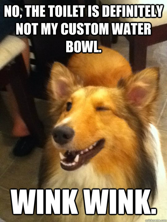 no, the toilet is definitely not my custom water bowl. Wink wink.  implying dog