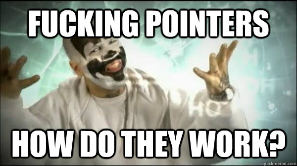 fucking pointers how do they work? - fucking pointers how do they work?  Fuckingmagnets