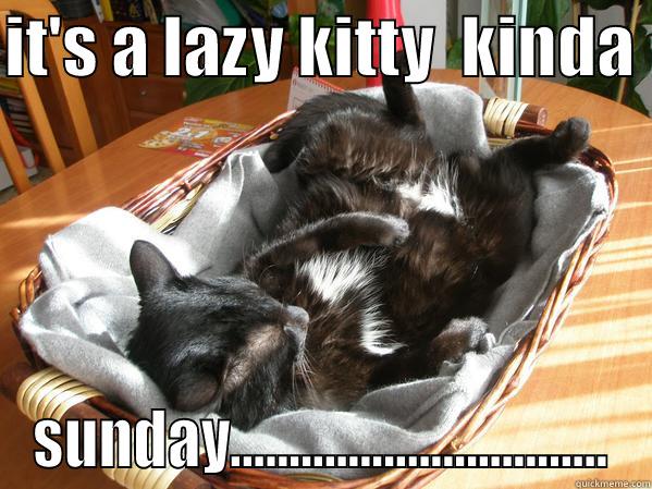 IT'S A LAZY KITTY  KINDA  SUNDAY................................ Misc
