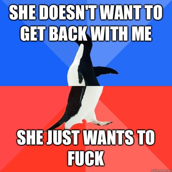 She doesn't want to get back with me She just wants to fuck  Socially Awkward Awesome Penguin