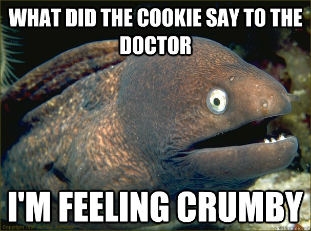 what did the cookie say to the doctor i'm feeling crumby  Bad Joke Eel