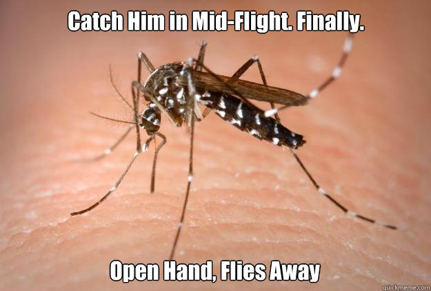 Catch Him in Mid-Flight. Finally. Open Hand, Flies Away  