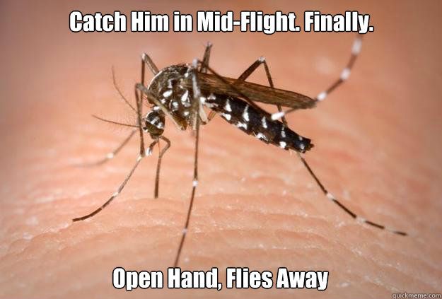 Catch Him in Mid-Flight. Finally. Open Hand, Flies Away  