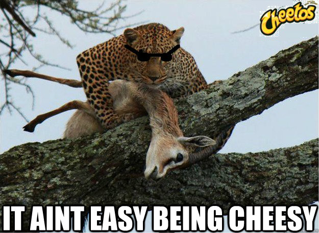 it aint easy being cheesy - it aint easy being cheesy  chester the cheetah