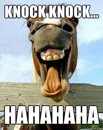 Knock Knock... Hahahaha - Knock Knock... Hahahaha  Laughs at Everything Horse