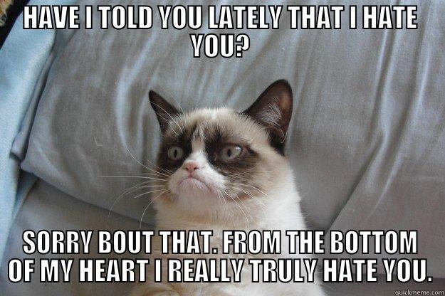 HAVE I TOLD YOU LATELY THAT I HATE YOU? SORRY BOUT THAT. FROM THE BOTTOM OF MY HEART I REALLY TRULY HATE YOU. Grumpy Cat