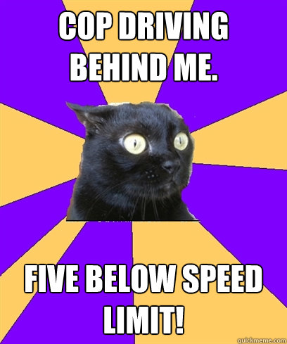 Cop driving behind me. five below speed limit! - Cop driving behind me. five below speed limit!  Anxiety Cat