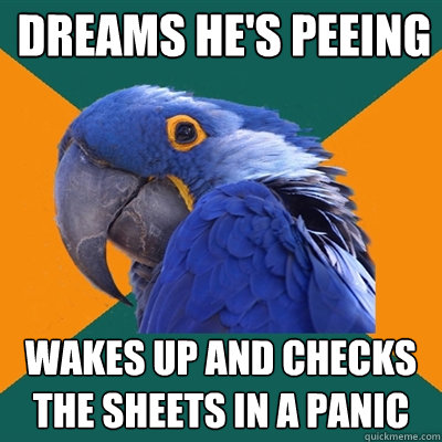 dreams he's peeing wakes up and checks the sheets in a panic  Paranoid Parrot