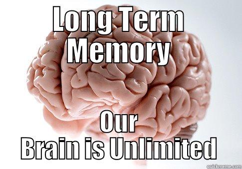 LONG TERM MEMORY OUR BRAIN IS UNLIMITED Scumbag Brain