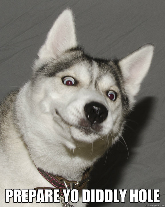  Prepare yo diddly hole -  Prepare yo diddly hole  Sexual Molesting Dog