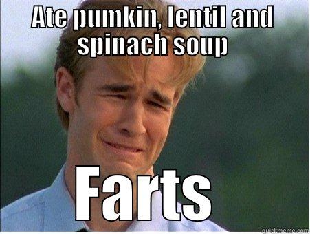 ATE PUMKIN, LENTIL AND SPINACH SOUP FARTS  1990s Problems