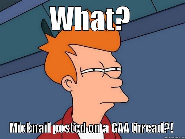 WHAT? MICKNAIL POSTED ON A GAA THREAD?! Futurama Fry