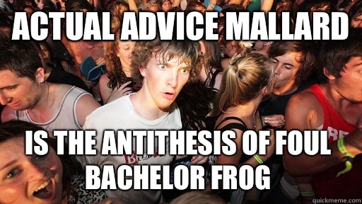 Actual advice mallard Is the antithesis of foul bachelor frog  Sudden Clarity Clarence