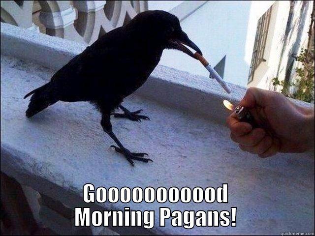 GOOOOOOOOOOD MORNING PAGANS! Misc