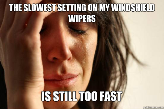 the slowest setting on my windshield wipers is still too fast  First World Problems