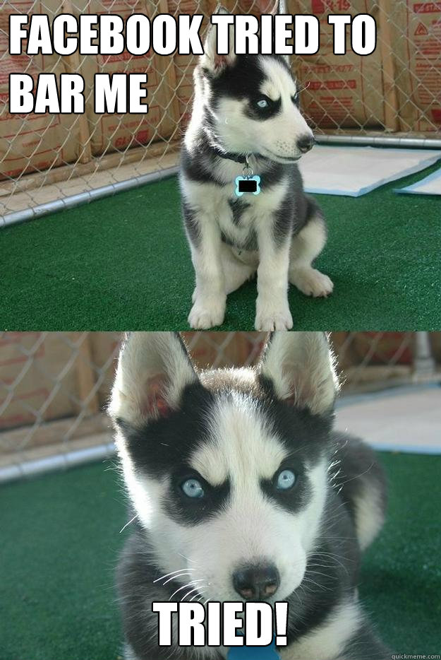 Facebook tried to bar me tried!  Insanity puppy