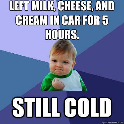 Left milk, cheese, and cream in car for 5 hours. still cold - Left milk, cheese, and cream in car for 5 hours. still cold  Success Kid
