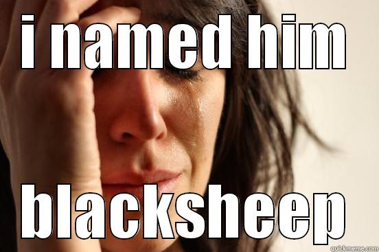 I NAMED HIM BLACKSHEEP First World Problems
