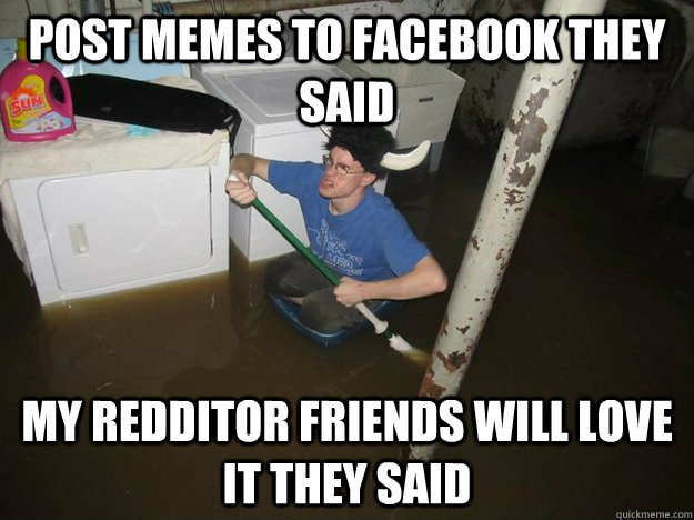 Post memes to facebook they said My redditor friends will love it they said  Laundry Room Viking