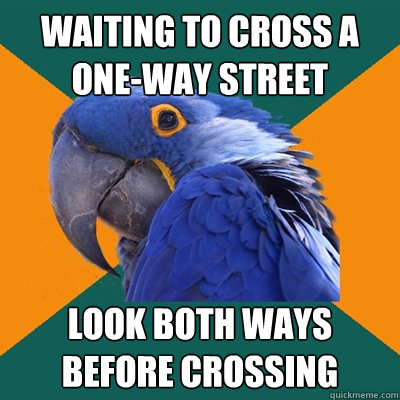 waiting to cross a one-way street look both ways before crossing  Paranoid Parrot