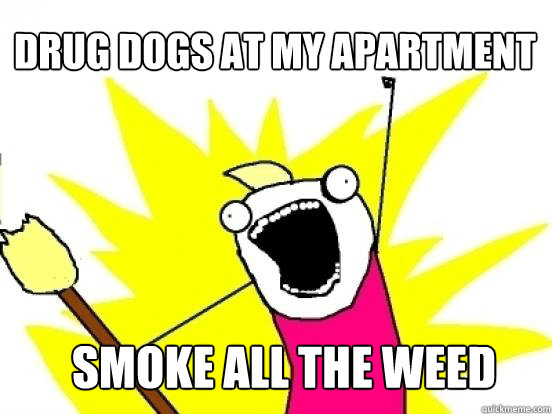 Drug dogs at my apartment complex Smoke all the weed  X All The Things